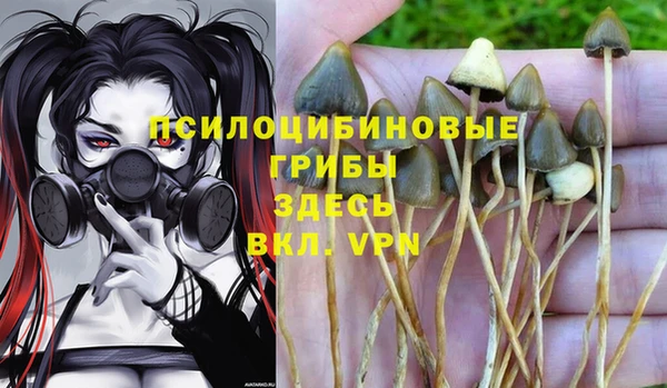 ECSTASY Пролетарск