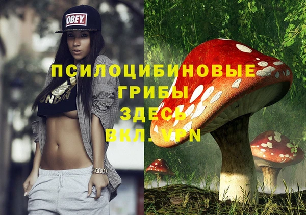 эйфоретик Армянск