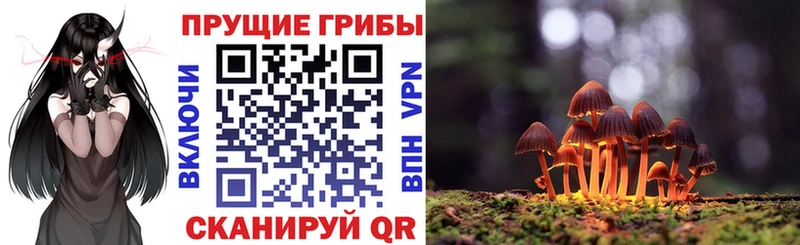 Галлюциногенные грибы Magic Shrooms  Ленинск 